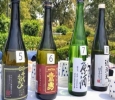 Japanese rice wine Sake is back with a bang in India